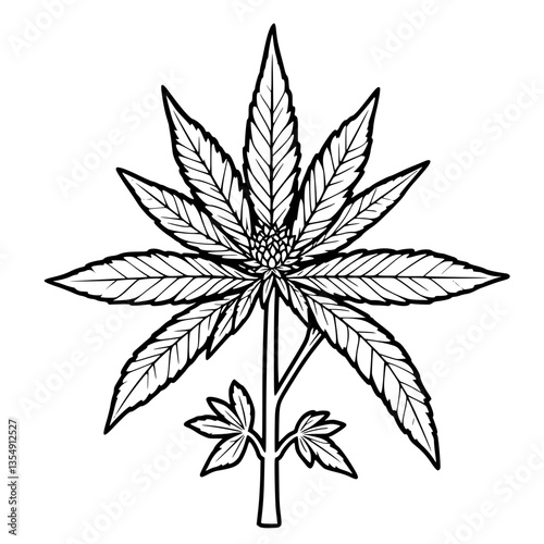 Detailed Illustration of a Cannabis Plant Showing Leaves and Bud