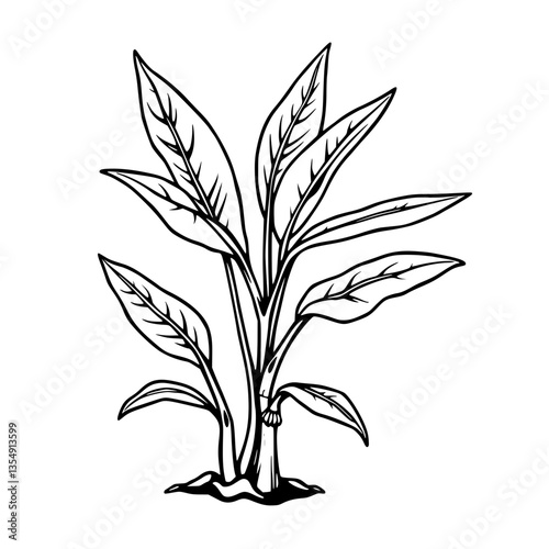 Lush Green Tropical Plant Illustration Vibrant Foliage and Stems