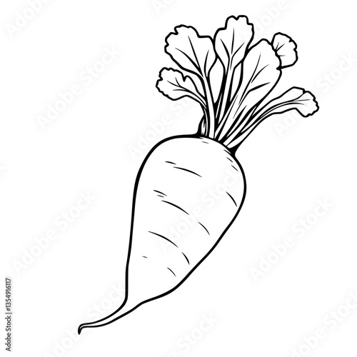 A Single Freshly Harvested White Carrot Illustration