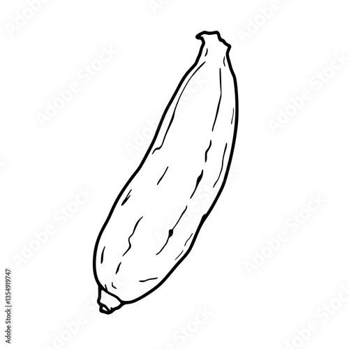 A Single Elegant Line Drawing of a Zucchini Vegetable