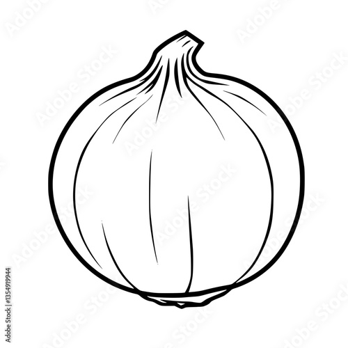 A Single White Onion Line Art Illustration Fresh Vegetable