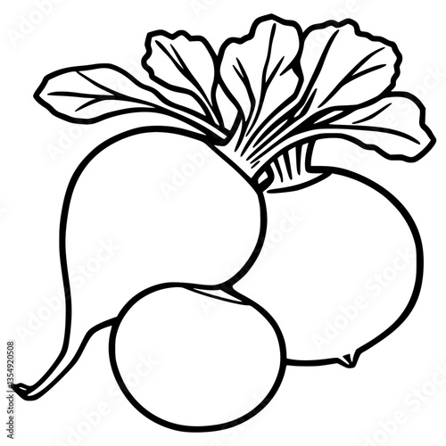 A Trio of Turnips Freshly Harvested Root Vegetables Line Art Illustration