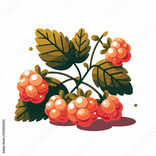 berry, cloudberry, nature, food, natural, fresh, healthy, background, organic, ripe, sweet, isolated, juicy, fruit, summer, orange, leaf, green, vitamin, illustration, plant, nordic, delicious, tasty,