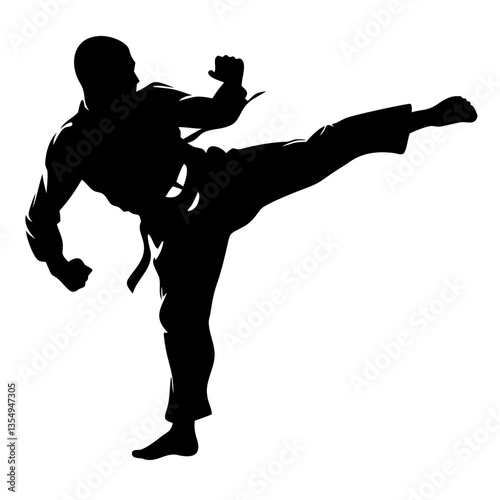 A silhouette of a martial artist executing a high kick, showcasing power and precision