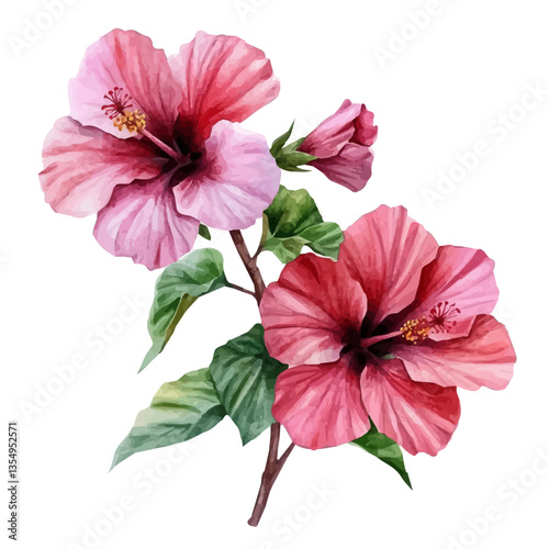 watercolor vector of Hibiscus Branch, isolated on a white background.