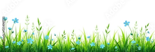 Bunch of meadow grass with separate stems and little blue flowers on white background, flowers, stems, meadow