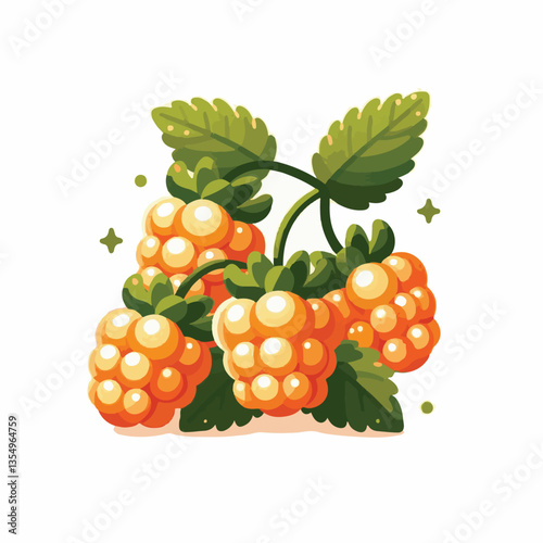 berry, cloudberry, nature, food, natural, fresh, healthy, background, organic, ripe, sweet, isolated, juicy, fruit, summer, orange, leaf, green, vitamin, illustration, plant, nordic, delicious, tasty,