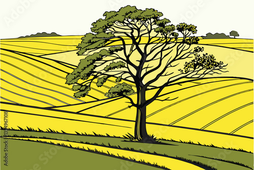 2 Vibrant landscape, lone tree in field, lush green wheat field, bright yellow rapeseed field, contrasting colors, rolling countryside, agricultural beauty, springtime scenery, minimalist composition,