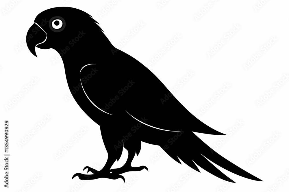 Obraz premium Parrot bird silhouette black vector