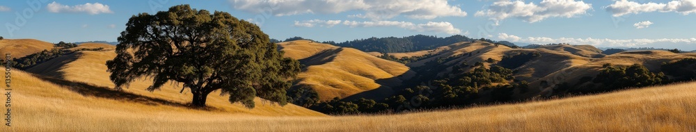 Golden hills under a clear sky Golden hills under a clear sky