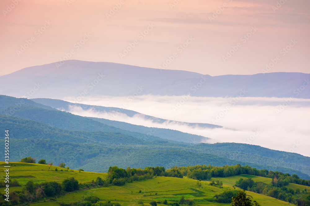rural landscape in carpathian mountains at dawn. foggy weather. cold fog in the valley. beautiful alpine countryside scenery in summer. hot sunrise sky
