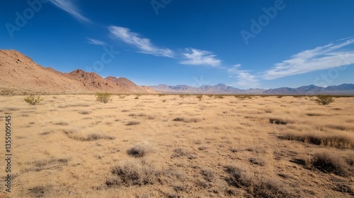 Vast desert landscape featuring barren terrain and expansive blue sky with wispy clouds and mountains in the distance : Generative AI
