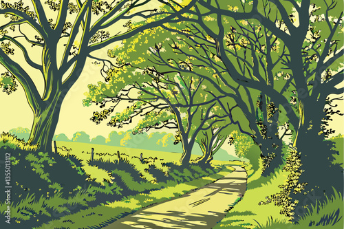 13 Tree-lined country road, lush green canopy, dappled sunlight, peaceful pathway, rural landscape, verdant foliage, spring scenery, tranquil nature walk, arching branches, sun-dappled path, idyllic c