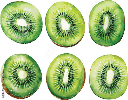 A collection watercolor vector illustrations of kiwi slices
