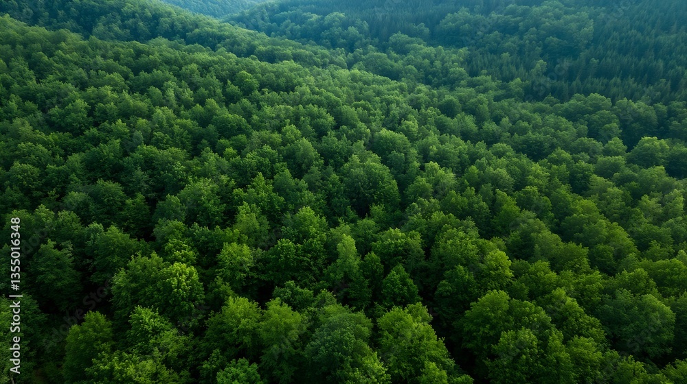 Fototapeta premium Lush Green Canopy of Dense Forest Showcasing a Thriving EcoSystem from Above : Generative AI