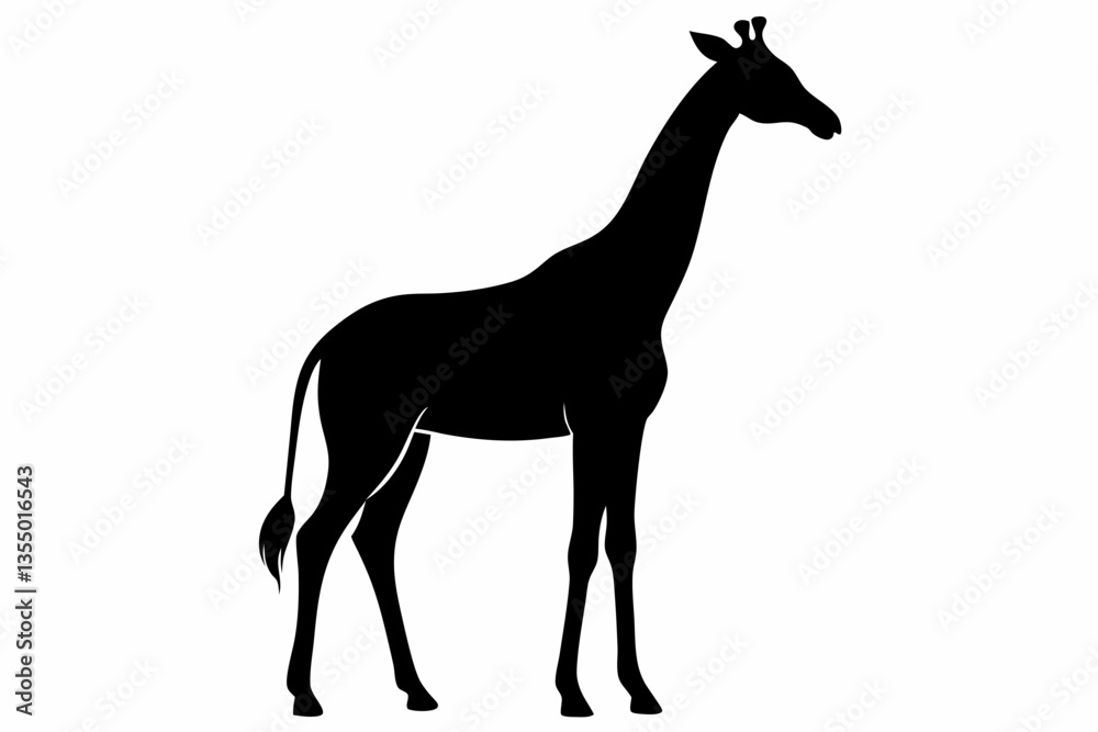 Fototapeta premium giraffe silhouette black silhouette vector