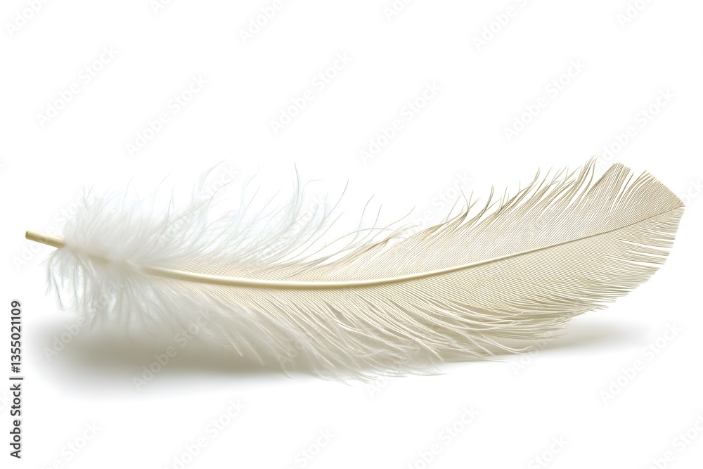 Obraz premium Delicate White Feather Close-up