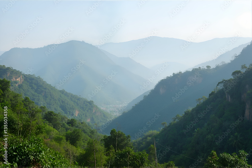 Naklejka premium Tropical Mountains and Mist