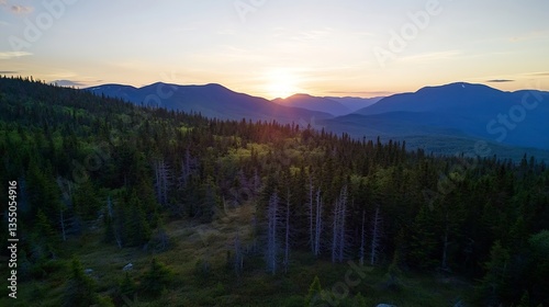 Breathtaking sunset view over lush green forested mountains in the evening light : Generative AI