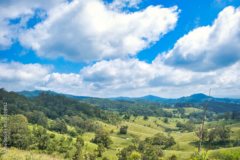 Obraz premium Idyllic hills and valley with green meadows and forest in the Hunter Region, New South Wales, Australia 