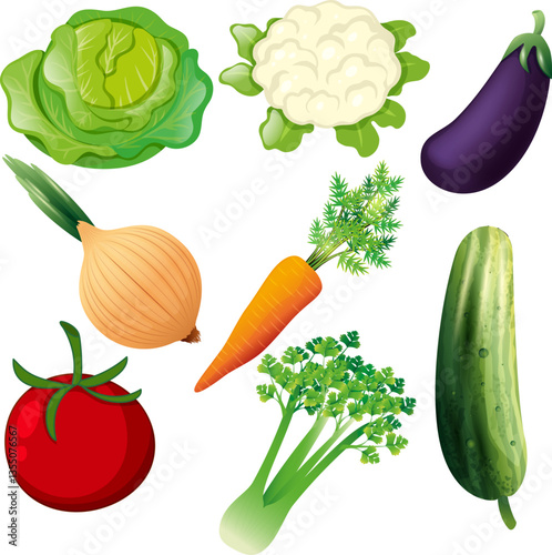 Hand drawn colorful vegetables and salad.Vector flat illustration.