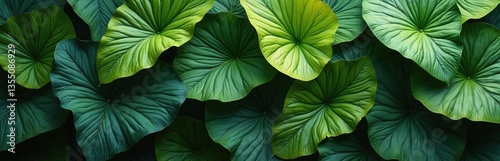 Closeup rich green tropical foliage. Texture of various leaves with vibrant colors. Natural organic shapes, fresh eco background. Nature, botanical garden, spring, summer, life concept.