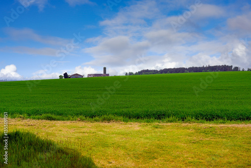 2023-12-31 LUSH GREEN COUNTRY SIDE IN MUNLOCHY SCOTLAND WITH A OLD FARM AND AND A NICE SKY