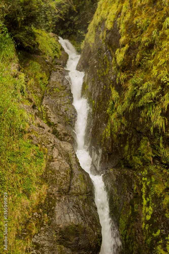 Naklejka premium waterfall, rock and water