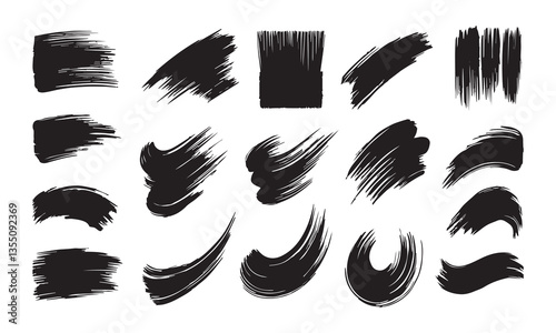Black and white feather set with bird wings silhouette