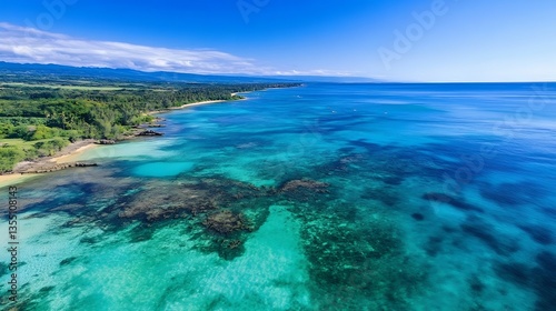 Stunning aerial view of a tropical beach with turquoise waters and lush greenery under a clear sky : Generative AI