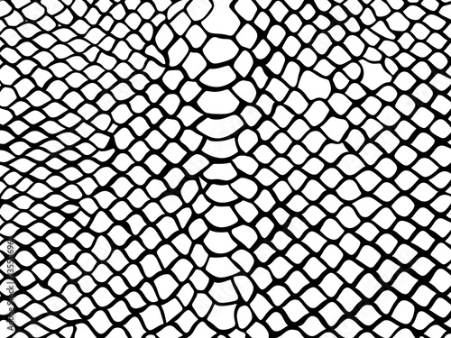Hand drawn snake skin pattern with black, Animal skin background, Monochrome illustration