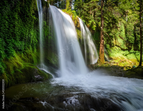 A cascading waterfall captured in slow motion surrounded by lush green forest to symbolize untouched natural beauty