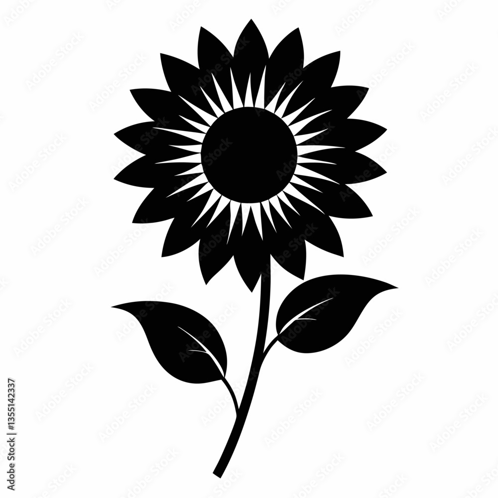 sunflower on white background sunflower on white background