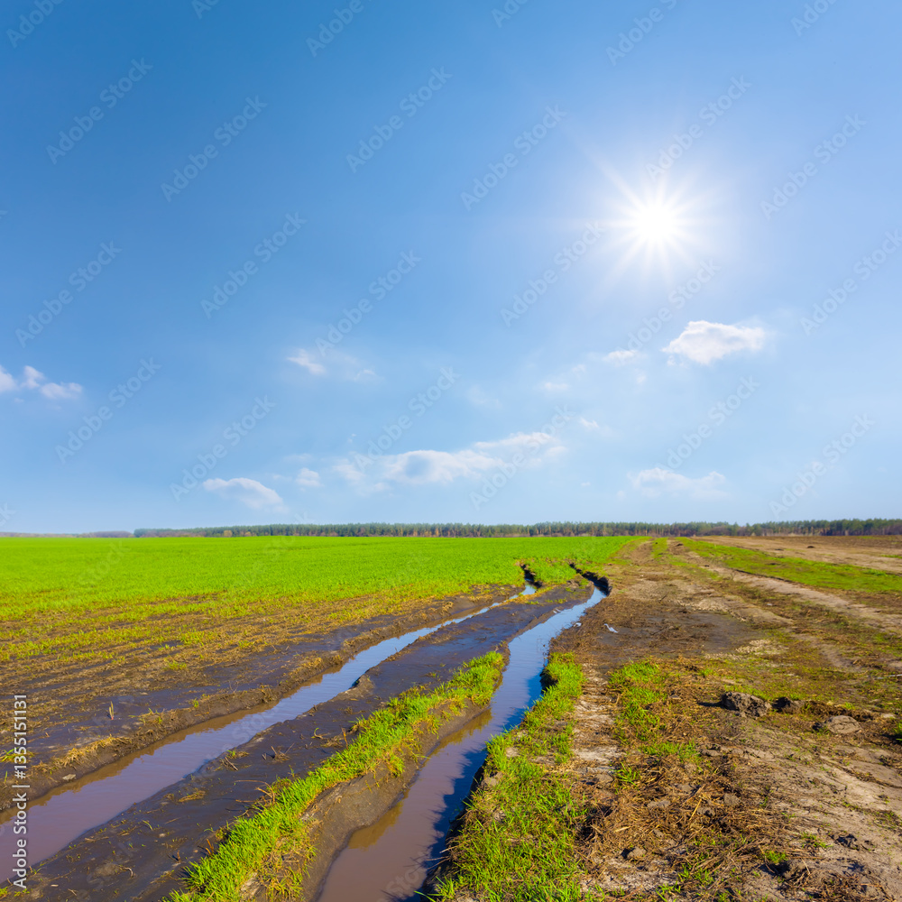 Obraz premium rural ground road in mud among green agricultural fields at the spring sunny day