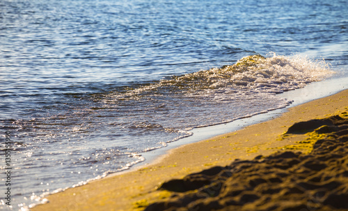 Wallpaper Mural closeup summer sandy sea beach Torontodigital.ca