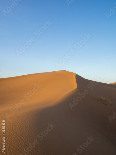 Obraz na płótnie Soft sand dune crest, Erg Chegaga, Sahara desert, Morocco w salonie