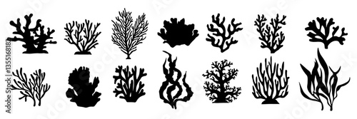 Algae and corals on water. Black silhouettes aquarium plants vector illustrations, underwater algae and ocean coral icons