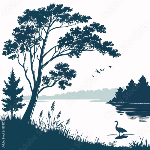 landscape with trees