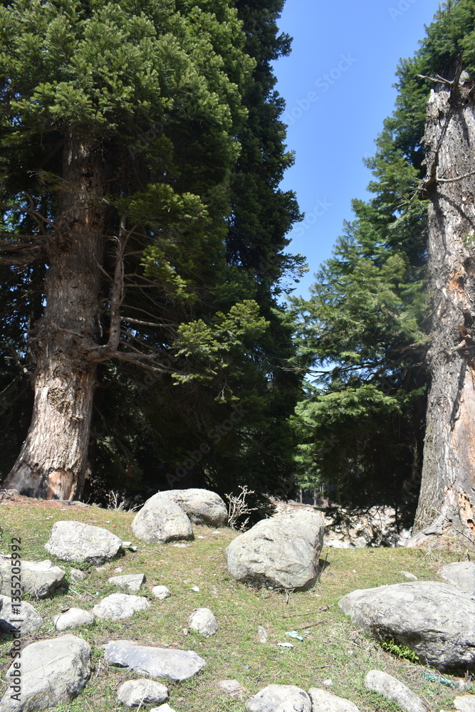 Pahalgam, meaning Pahalgam, meaning