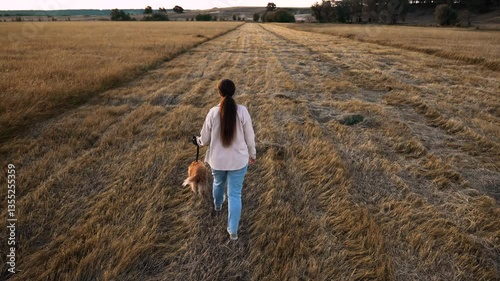 Careful woman walks cocker spaniel dog in dry field with mown grass at sunset light owner walks active red-haired dog in rural park woman breeder with pedigreed dog walk along evening park field