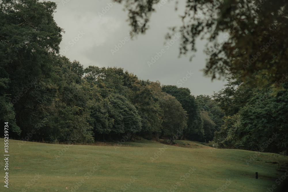 Fototapeta premium morning in the park