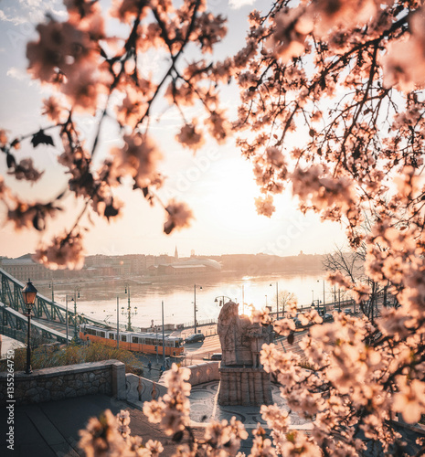 Beautiful Liberty Bridge with almond blossom in Budapest, Hungary 