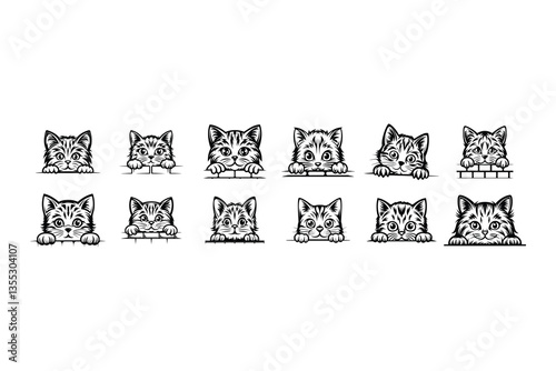 Peeking American Shorthair cat SVG Bundle