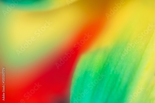 abstract color background photo