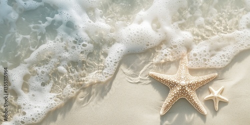 Seesterne am Sandstrand