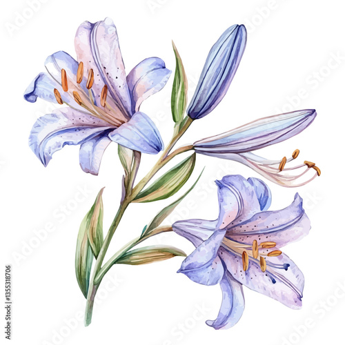 watercolor of Lily Of The Nile Branch, isolated on a white background.
