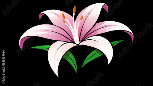 Lily on a white background