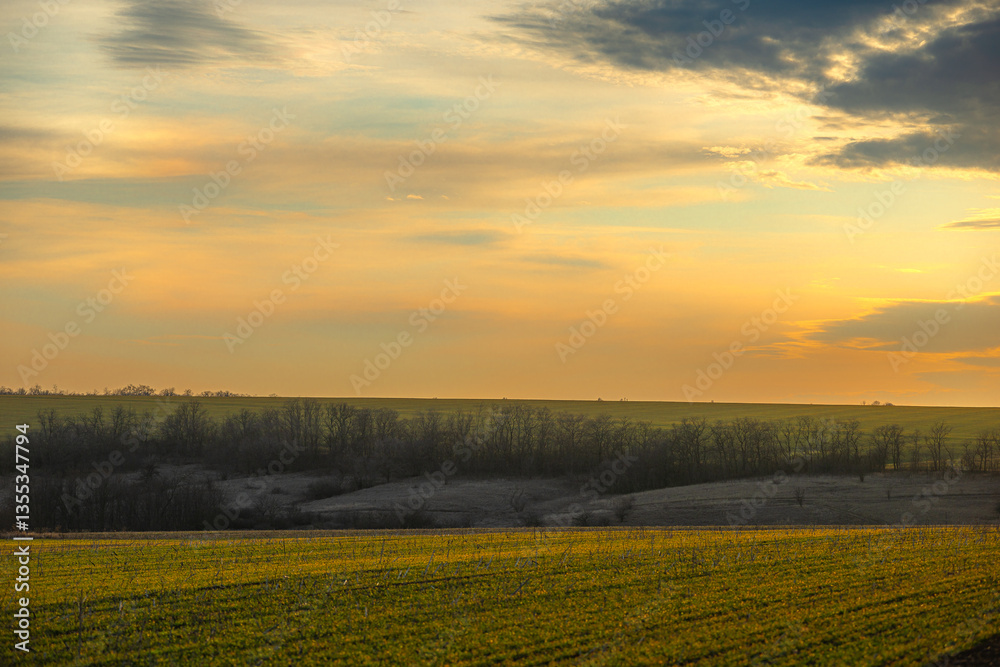 Obraz premium Beautiful field and nature at the spring evening.Sunset over the trees and green field.Landscape photography,sunny day , sunset and field with road 