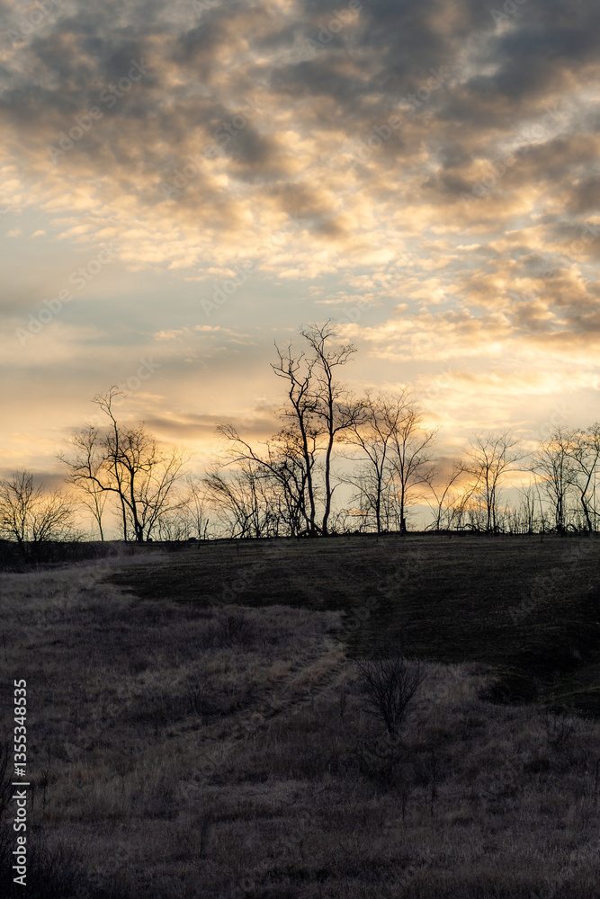 Fototapeta premium Landscape photo with beautiful sunset and clouds on the sky , field and trees , spring evening in the woodlands ,sun lights , beautiful nature 