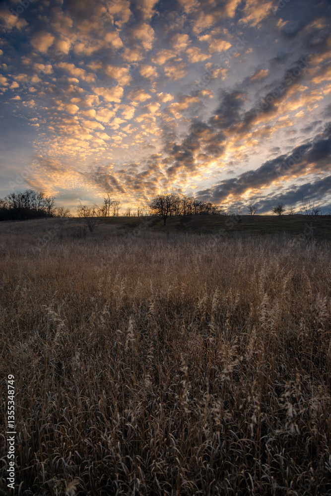 Fototapeta premium Landscape photo with beautiful sunset and clouds on the sky , field and trees , spring evening in the woodlands ,sun lights , beautiful nature 